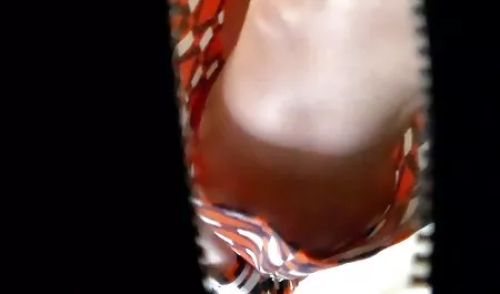 Köpek döküm erotik sahne film