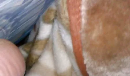 Yaşlı sevtap parman sevişme sahneleri kadın ve genç erkek genç üçlü