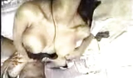 Gibi büyük cocks Aşk - şeker dalları veya seksi erotik sahneler köşe dalları arasında