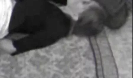 Seks erotik türk sahneleri sürtük berbat