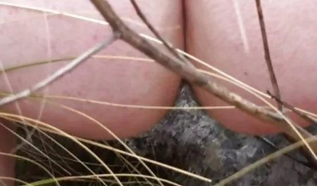 İpek benim kedi sex erotik sahneler her zaman ıslak külot